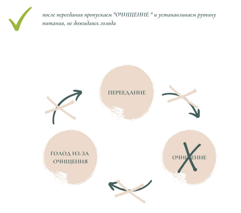 Невротическая булимия схема нарушения пищевого поведения